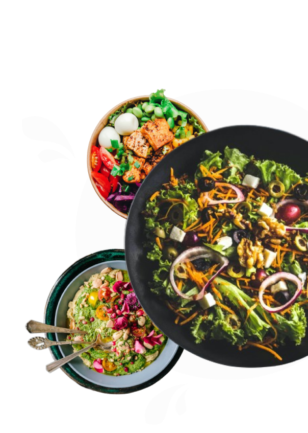 Makanan